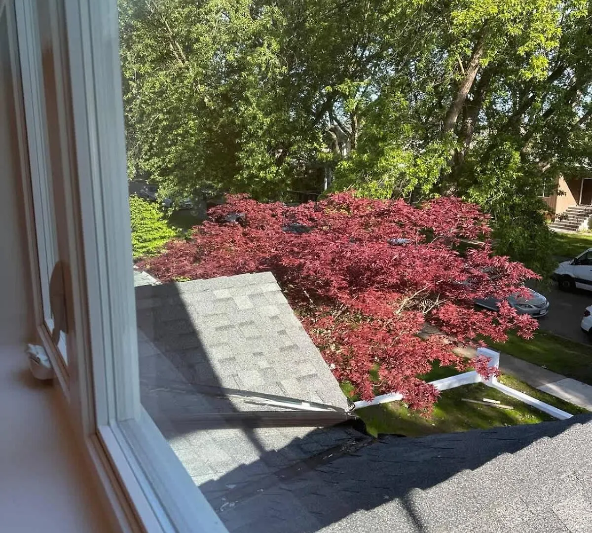 Pristine Brand New Duplex, Prime Location! Villa Vancouver 0*,  Canada